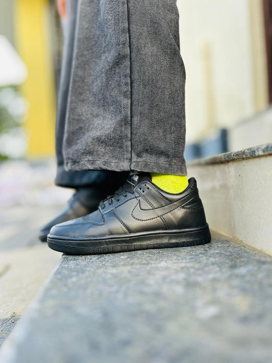 Nike SB Dunk FULL Black